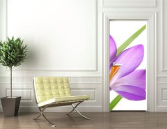 Samolepka na dvee flie 90 x 220  violet spring crocuses, 90 x 220 cm