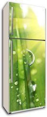 Samolepka na lednici fólie 80 x 200, 13037695 - Drops - Kapky