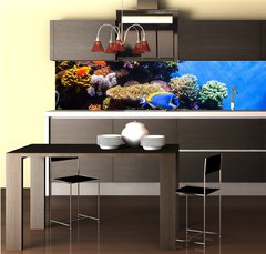 Fototapeta do kuchyně fólie 260 x 60, 131183702 - Tropical fishes on the coral reef