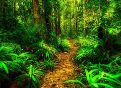 Fototapeta papr 254 x 184, 131189225 - nature as are plant on the montains 