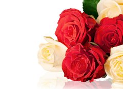 Fototapeta240 x 174  Rose., 240 x 174 cm