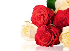 Fototapeta330 x 244  Rose., 330 x 244 cm