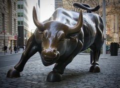 Samolepka flie 100 x 73, 13136017 - wall street bull