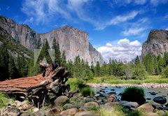 Samolepka flie 145 x 100, 13181871 - El Capitan View in Yosemite Nation Park