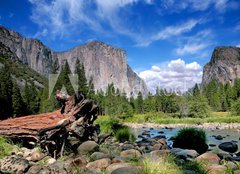 Fototapeta160 x 116  El Capitan View in Yosemite Nation Park, 160 x 116 cm