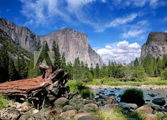 Samolepka flie 200 x 144, 13181871 - El Capitan View in Yosemite Nation Park - El Capitan vhled v nrodnm parku Yosemite