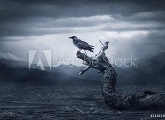Fototapeta pltno 240 x 174, 132023019 - Crow sitting on a branch - Vrna sed na vtvi