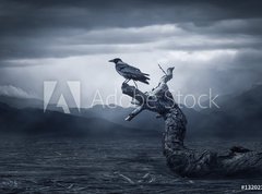Samolepka flie 270 x 200, 132023019 - Crow sitting on a branch - Vrna sed na vtvi