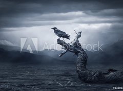 Fototapeta330 x 244  Crow sitting on a branch, 330 x 244 cm