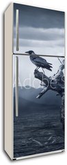 Samolepka na lednici fólie 80 x 200, 132023019 - Crow sitting on a branch - Vrána sedí na větvi
