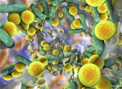 Samolepka flie 100 x 73  Biofilm of antibiotic resistant bacteria. Rod, 100 x 73 cm