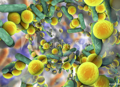 Fototapeta160 x 116  Biofilm of antibiotic resistant bacteria. Rod, 160 x 116 cm