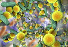 Fototapeta174 x 120  Biofilm of antibiotic resistant bacteria. Rod, 174 x 120 cm