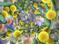 Fototapeta vliesov 270 x 200, 132239851 - Biofilm of antibiotic resistant bacteria. Rod
