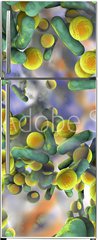 Samolepka na lednici flie 80 x 200, 132239851 - Biofilm of antibiotic resistant bacteria. Rod