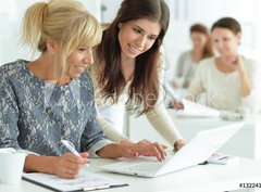 Fototapeta papr 360 x 266, 132241834 - women working together in office