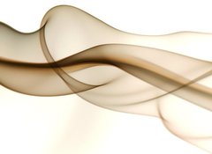 Samolepka flie 100 x 73  hose, 100 x 73 cm