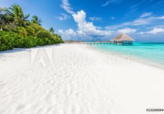 Fototapeta papr 184 x 128, 132600844 - Wide sandy beach on a tropical island in Maldives. Palms and wat