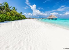 Fototapeta pltno 240 x 174, 132600844 - Wide sandy beach on a tropical island in Maldives. Palms and wat