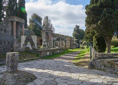 Fototapeta papr 160 x 116, 133093356 - Ruins of Pompeii, Naples Italy