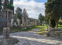 Fototapeta160 x 116  Ruins of Pompeii, Naples Italy, 160 x 116 cm