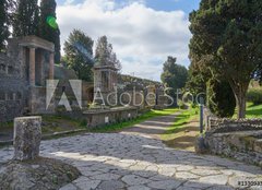 Fototapeta254 x 184  Ruins of Pompeii, Naples Italy, 254 x 184 cm