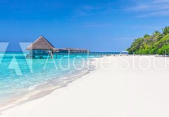 Fototapeta papr 184 x 128, 133424507 - Panorama of wide sandy beach on a tropical island in Maldives