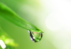 Samolepka flie 145 x 100, 13364625 - shine water drop
