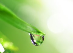 Fototapeta papr 254 x 184, 13364625 - shine water drop