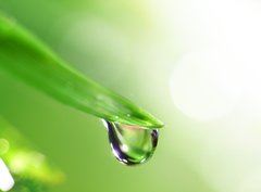 Fototapeta papr 360 x 266, 13364625 - shine water drop