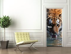 Samolepka na dvee flie 90 x 220  Drinking Siberian Tiger, 90 x 220 cm