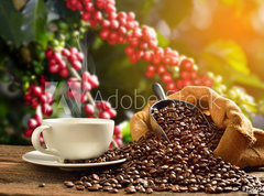 Fototapeta vliesov 270 x 200, 136057023 - Cup of coffee with smoke and coffee beans in burlap sack on coff - lek kvy s kouem a kvov zrna v pytlovina pytel na kvu