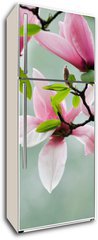 Samolepka na lednici flie 80 x 200  Magnolia, 80 x 200 cm