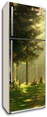 Samolepka na lednici fólie 80 x 200, 13656734 - Morning in a spring forest - Ráno v jarním lese