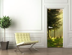 Samolepka na dvee flie 90 x 220  Morning in a spring forest, 90 x 220 cm