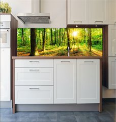 Fototapeta do kuchyn flie 180 x 60  Wald im Frhling mit Sonne, 180 x 60 cm