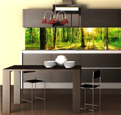 Fototapeta do kuchyn flie 260 x 60  Wald im Frhling mit Sonne, 260 x 60 cm