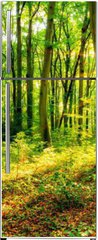 Samolepka na lednici flie 80 x 200  Wald im Frhling mit Sonne, 80 x 200 cm