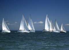 Samolepka flie 100 x 73, 1375692 - start of a sailing regatta - zatek plachetn regaty