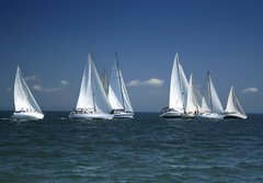 Fototapeta papr 184 x 128, 1375692 - start of a sailing regatta - zatek plachetn regaty