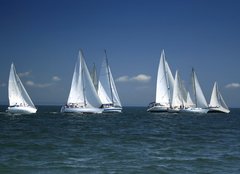 Fototapeta papr 254 x 184, 1375692 - start of a sailing regatta - zatek plachetn regaty
