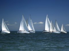 Fototapeta pltno 330 x 244, 1375692 - start of a sailing regatta - zatek plachetn regaty