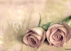 Fototapeta160 x 116  zwei rosen, 160 x 116 cm