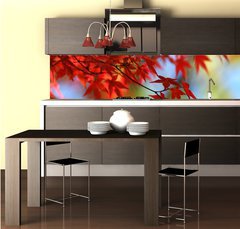 Fototapeta do kuchyně fólie 260 x 60, 138623 - japanese red maple in autumn - japonský červený javor na podzim