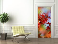 Samolepka na dvee flie 90 x 220, 138623 - japanese red maple in autumn - japonsk erven javor na podzim
