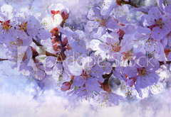 Fototapeta pltno 174 x 120, 139001398 - Flowering branch. Painted oil paints on canvas.