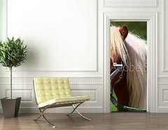 Samolepka na dvee flie 90 x 220  Shetland Pony, 90 x 220 cm