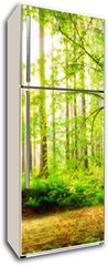 Samolepka na lednici fólie 80 x 200, 139969469 - Idyllischer Wald mit Bach bei Sonnenaufgang