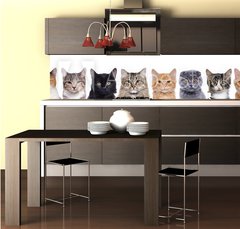 Fototapeta do kuchyn flie 260 x 60  closeup portrait of a group of cats of different breeds sitting in a line isolated over white background, 260 x 60 cm