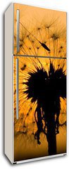 Samolepka na lednici flie 80 x 200, 14129993 - dandelion in peaceful evening